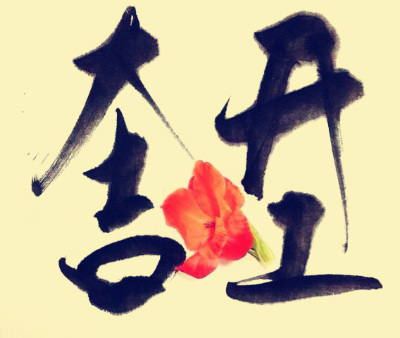 駿業(yè)包裝開工大吉！